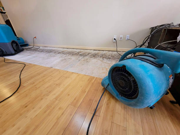 Professional Water Damage Repair technician working in Dexter, MN